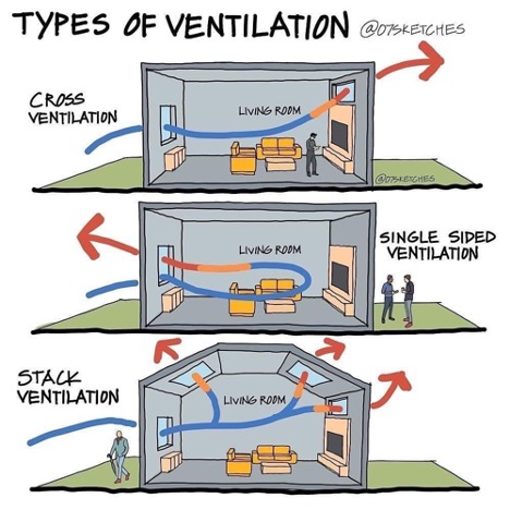 Mold Problems